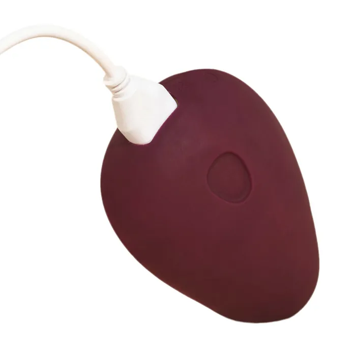 Dame Pom Flexible Vibrator Plum MATING COMPONENTS LLC Female Sex Toys